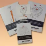 Scaramanga Marketing pamphlets